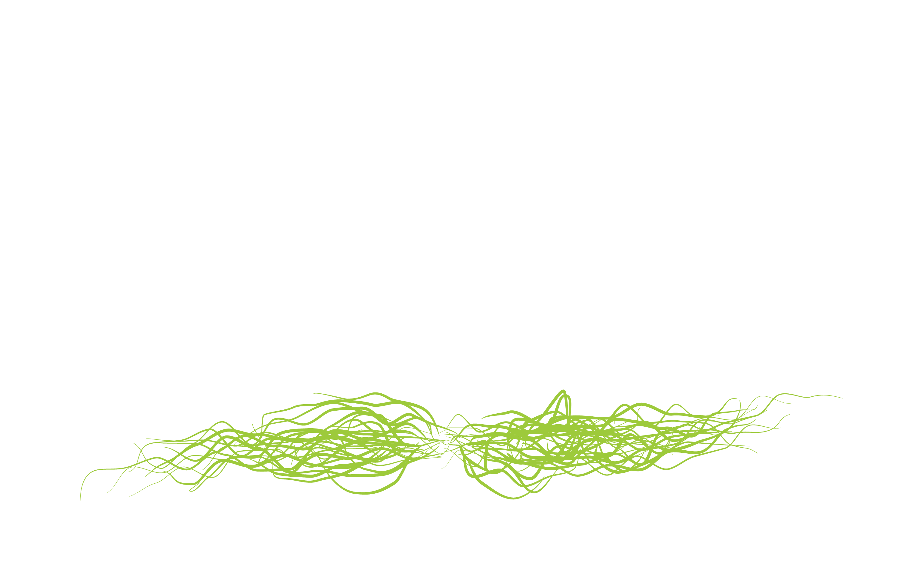 Garrett Paquette Seafood Extravaganza